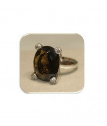 PLATA XERNUS NF1829C