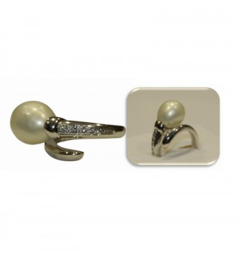 PLATA XERNUS 2RG2599