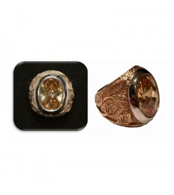 PLATA XERNUS 3RG2621