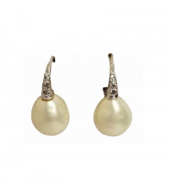 PLATA XERNUS PENDIENTES 2ER2600