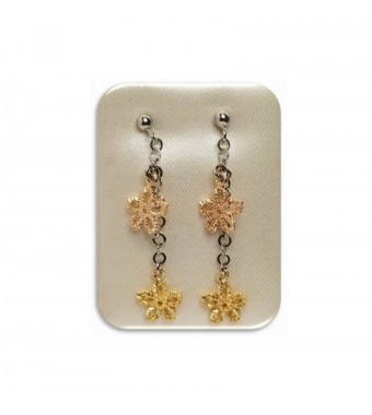 PLATA XERNUS PENDIENTES 2NF2539