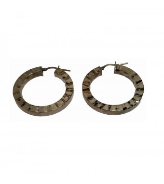 PLATA XERNUS PENDIENTES 2NF2613