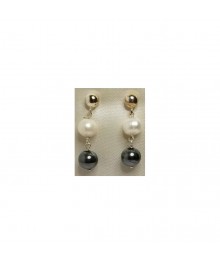 PLATA XERNUS PENDIENTES 3NF27138