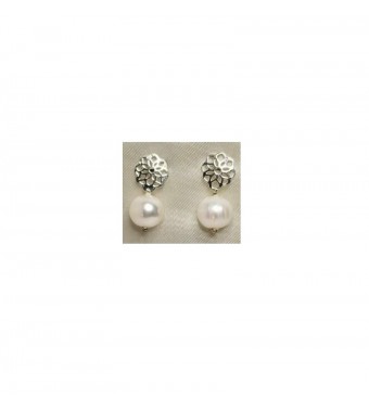 PLATA XERNUS PENDIENTES 3NF27173