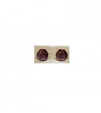 PLATA XERNUS PENDIENTES 3NF2811