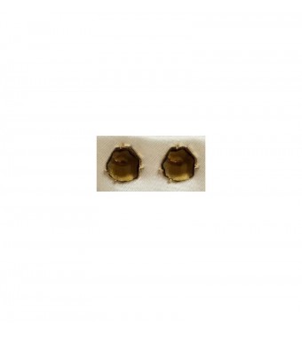 PLATA XERNUS PENDIENTES 3NF2822