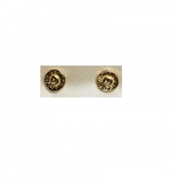 PLATA XERNUS PENDIENTES 3XE2898