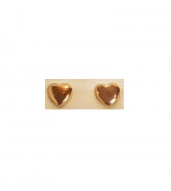 PLATA XERNUS PENDIENTES 3XE2967