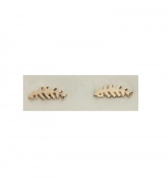 PLATA XERNUS PENDIENTES 3XE3065