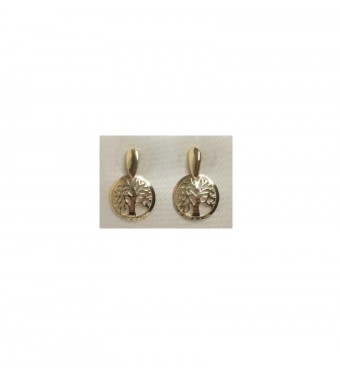 PLATA XERNUS PENDIENTES 3XE3071A