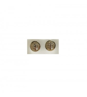 PLATA XERNUS PENDIENTES 3XE3071B