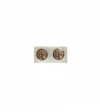 PLATA XERNUS PENDIENTES 3XE3075B