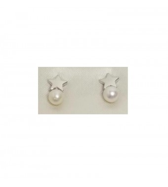 PLATA XERNUS PENDIENTES 3XE3146