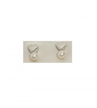 PLATA XERNUS PENDIENTES 3XE3149