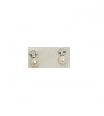 PLATA XERNUS PENDIENTES 3XE3152