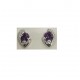 PLATA XERNUS PENDIENTES NF1016
