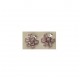 PLATA XERNUS PENDIENTES NF1520