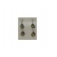PLATA XERNUS PENDIENTES NF1786C