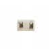 PLATA XERNUS PENDIENTES NF1820