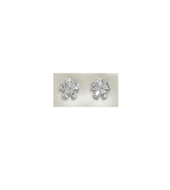 PLATA XERNUS PENDIENTES NF1852