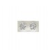 PLATA XERNUS PENDIENTES NF1852