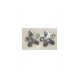 PLATA XERNUS PENDIENTES NF1881