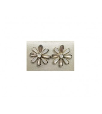 PLATA XERNUS PENDIENTES NF1885