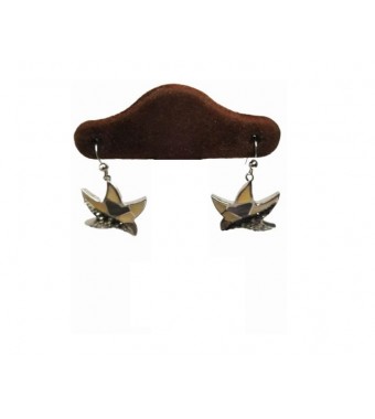 PLATA XERNUS PENDIENTES NF1898