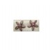 PLATA XERNUS PENDIENTES NF1904