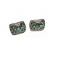PLATA XERNUS PENDIENTES NF1912
