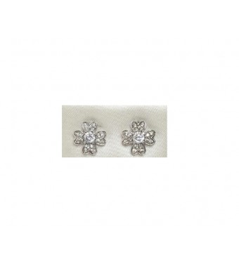 PLATA XERNUS PENDIENTES NF1954﻿