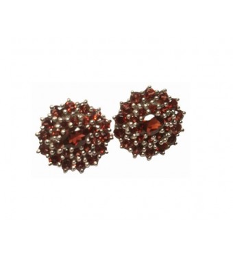 PLATA XERNUS PENDIENTES NF2058