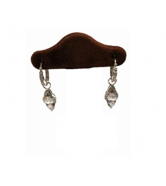 PLATA XERNUS PENDIENTES NF2459