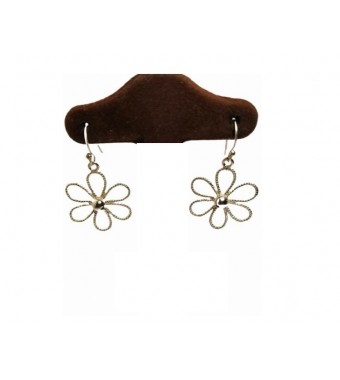 PLATA XERNUS PENDIENTES NF2574