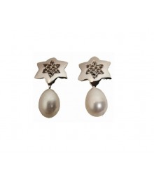 PLATA XERNUS PENDIENTES NF26776