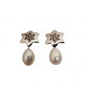 PLATA XERNUS PENDIENTES NF26776