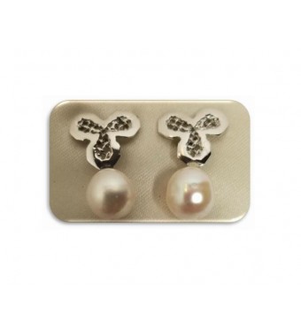 PLATA XERNUS PENDIENTES NF26777