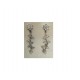PLATA XERNUS PENDIENTES NF2717