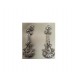 PLATA XERNUS PENDIENTES NF2721
