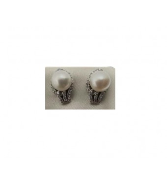 PLATA XERNUS PENDIENTES NF2941