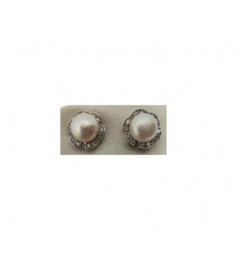 PLATA XERNUS PENDIENTES NF2945