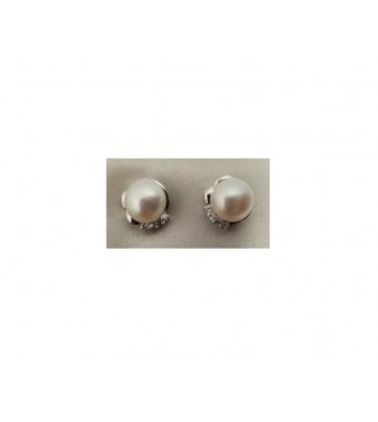 PLATA XERNUS PENDIENTES NF2947