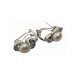 PLATA XERNUS PENDIENTES NF2951