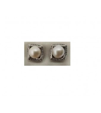 PLATA XERNUS PENDIENTES NF2952