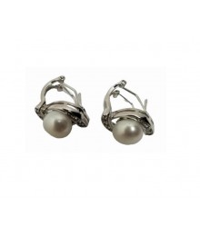 PLATA XERNUS PENDIENTES NF3160