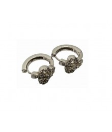 PLATA XERNUS PENDIENTES NF3163