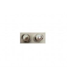 PLATA XERNUS PENDIENTES NF3168