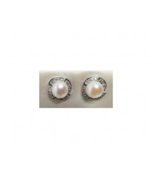 PLATA XERNUS PENDIENTES NF3178