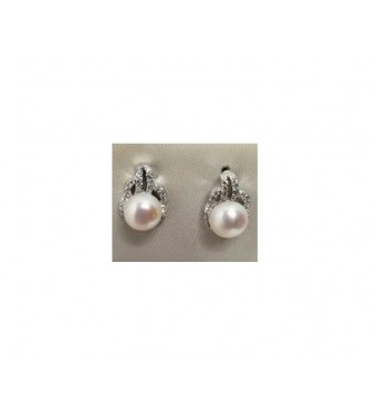 PLATA XERNUS PENDIENTES NF3192