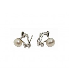 PLATA XERNUS PENDIENTES NF3203